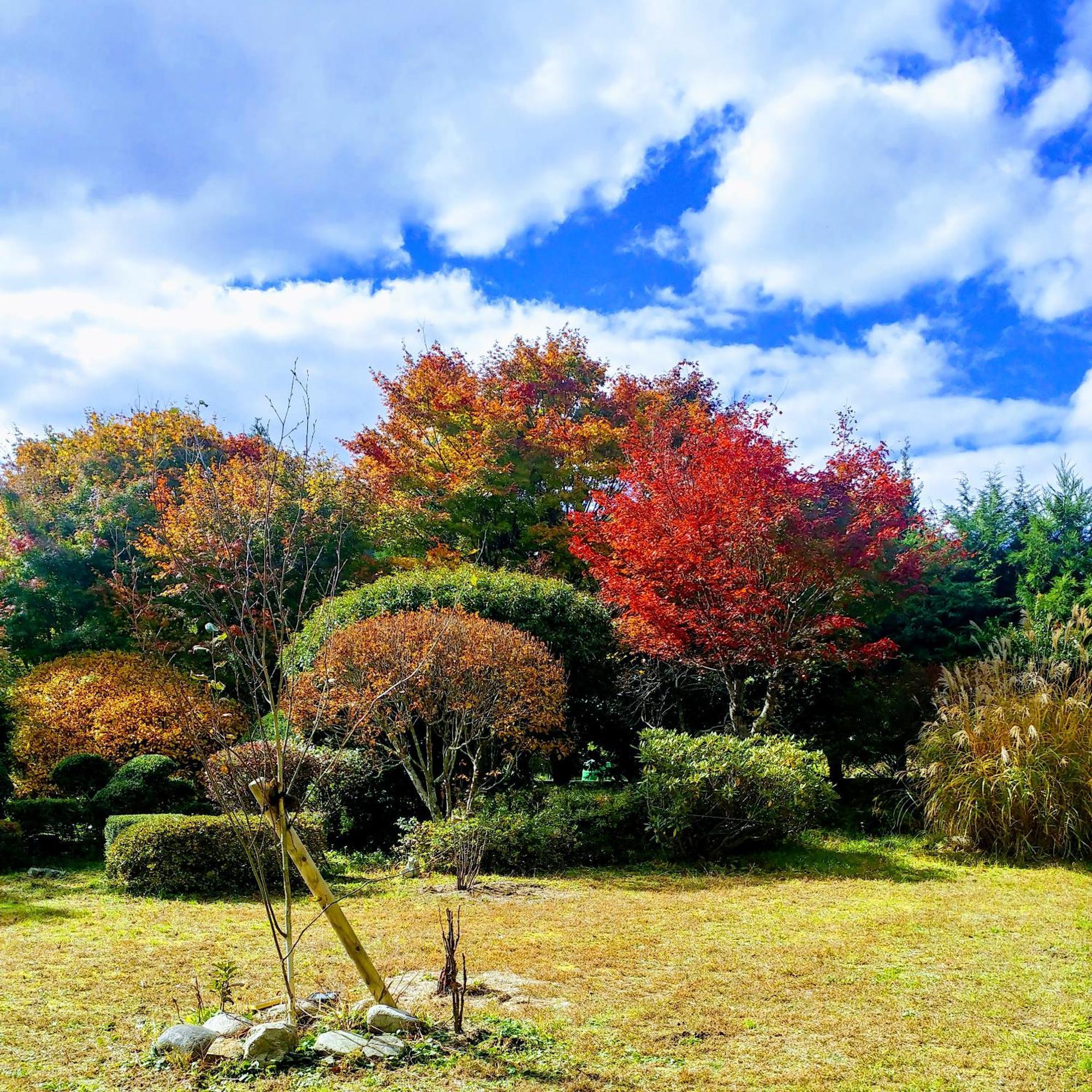 さいの郷「椛」 Guest House Kagamino Exterior photo